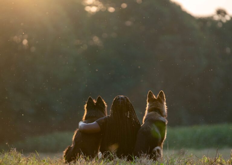 How can One Find Purebred Pedigree Dog in Tanzania?