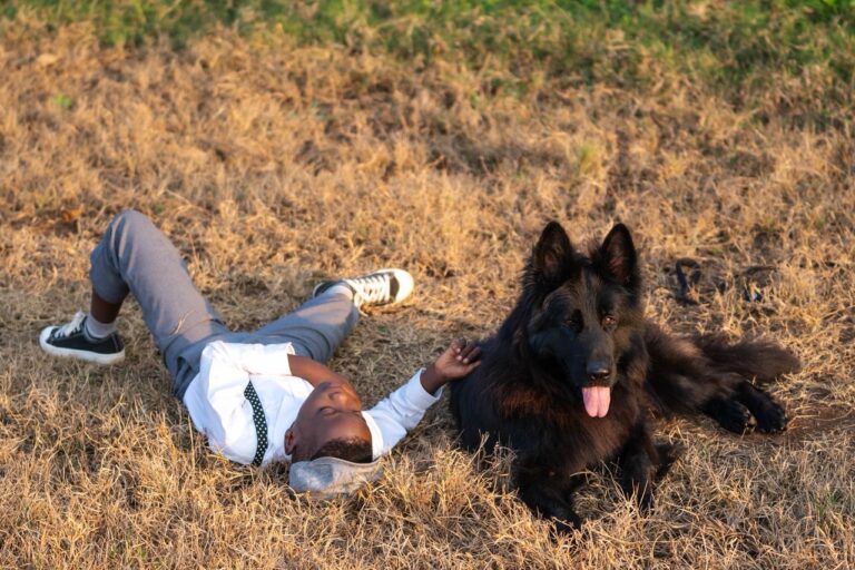 Can One Find Purebred Pedigree Dog in Tanzania?
